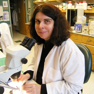 Jelena Mojsilovic-Petrovic MD, PhD